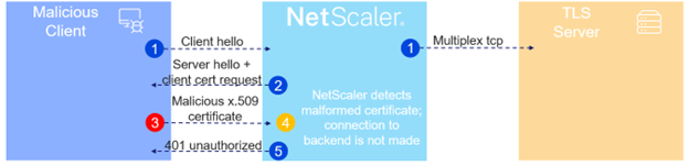 Graphic detailing the path from a malicious client to how NetScaler detects to TLS Server