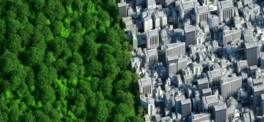 Aerial split view showing dense urban buildings on one side and a lush green forest on the other.