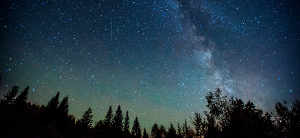 Starry night sky with the Milky Way above silhouetted trees.