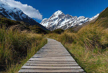 path leading to mountains